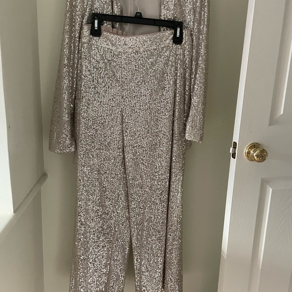 Banana republic sequin pants